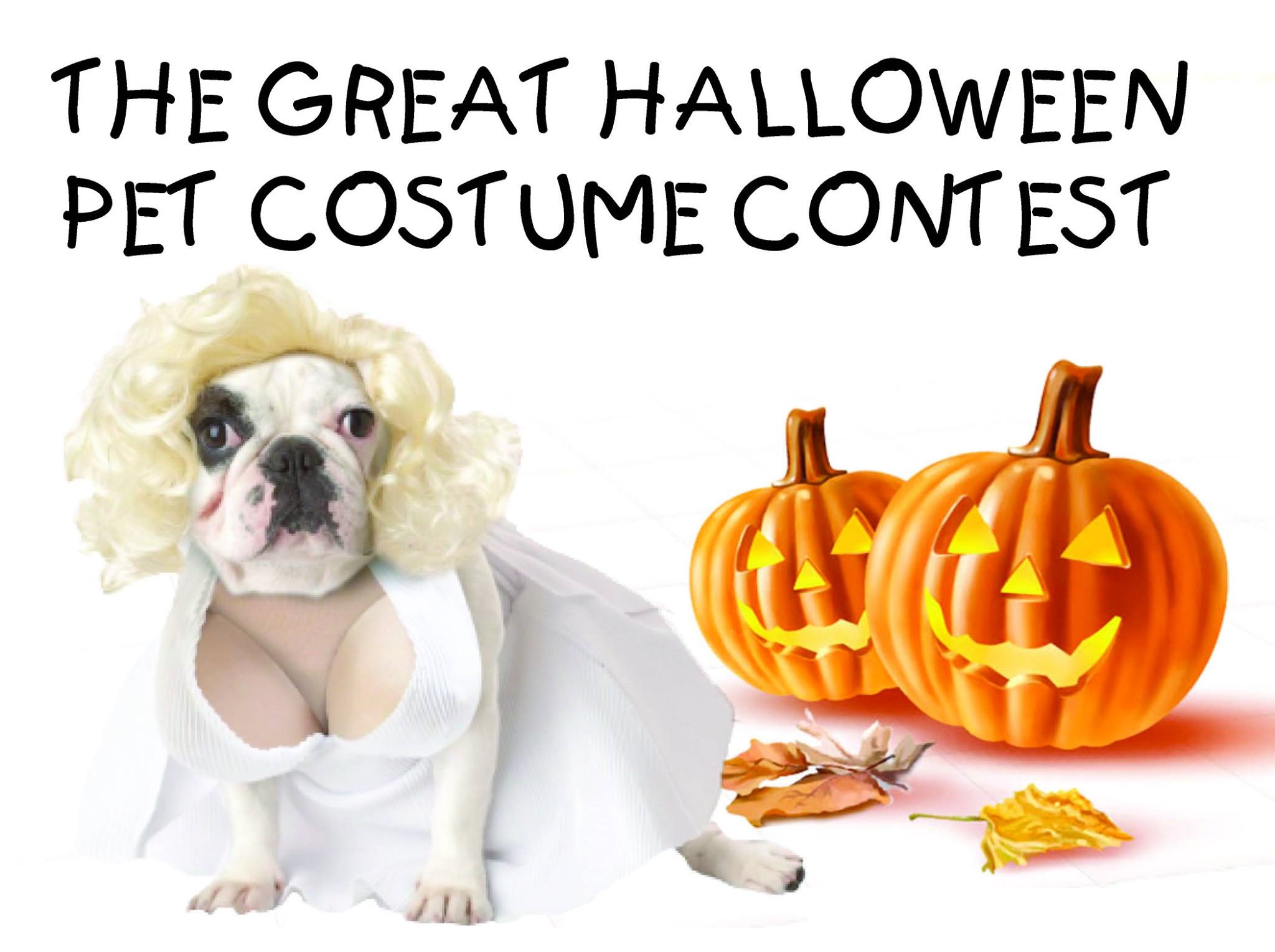 halloweenpetphotocontest Jersey Shore Animal Center