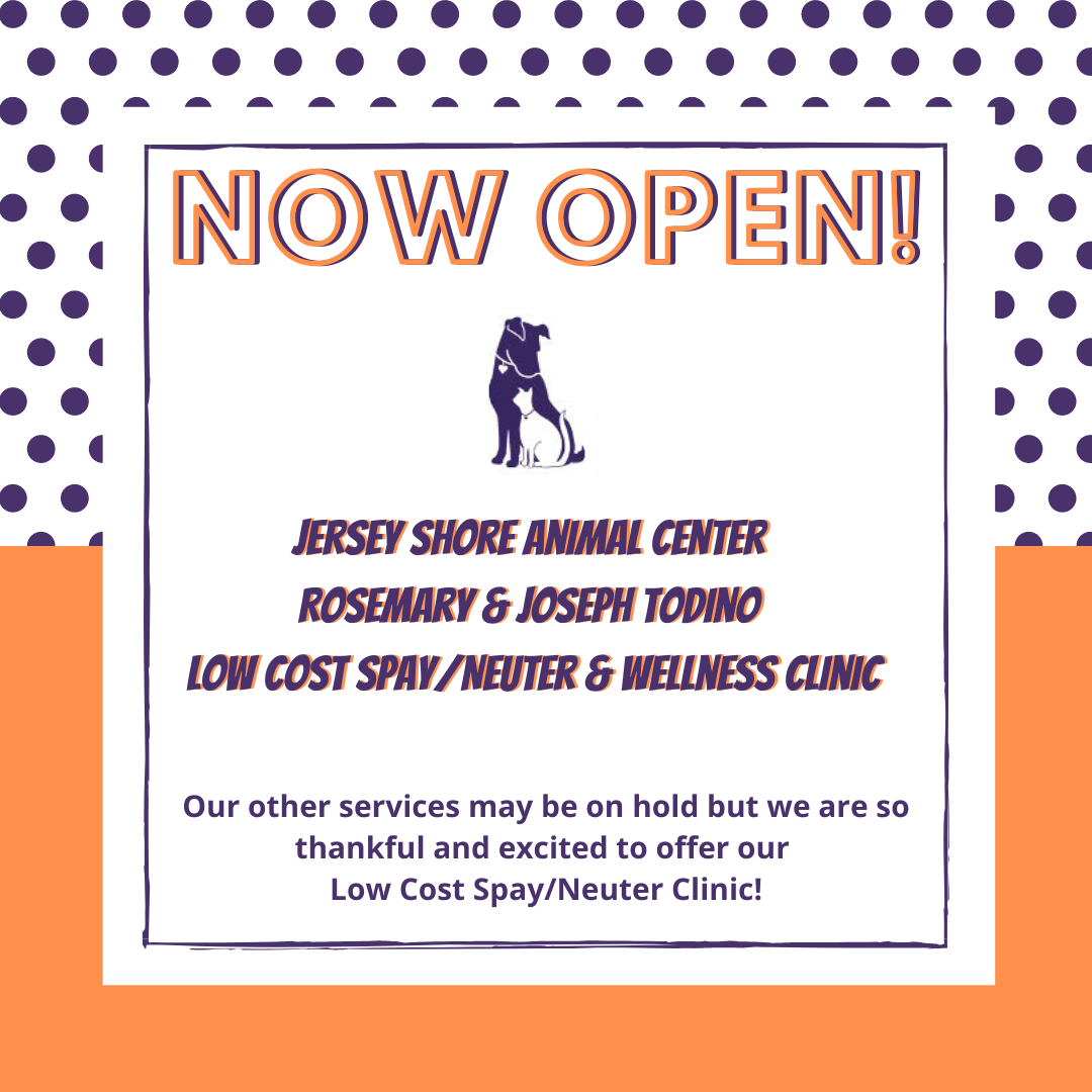 Low cost wellness sales clinic