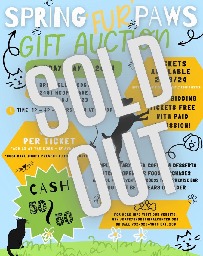 sold-out-2024-spring-fur-paws-gift-auction