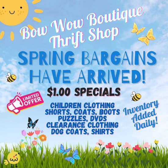 spring-bargain-sale-updated