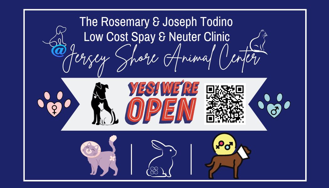 spay-neuter-clinic-1