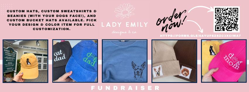 lady-emily-designs-co.-fundraiser