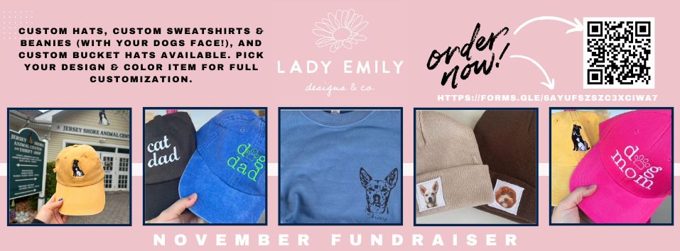 lady-emily-designs-co.-fundraiser